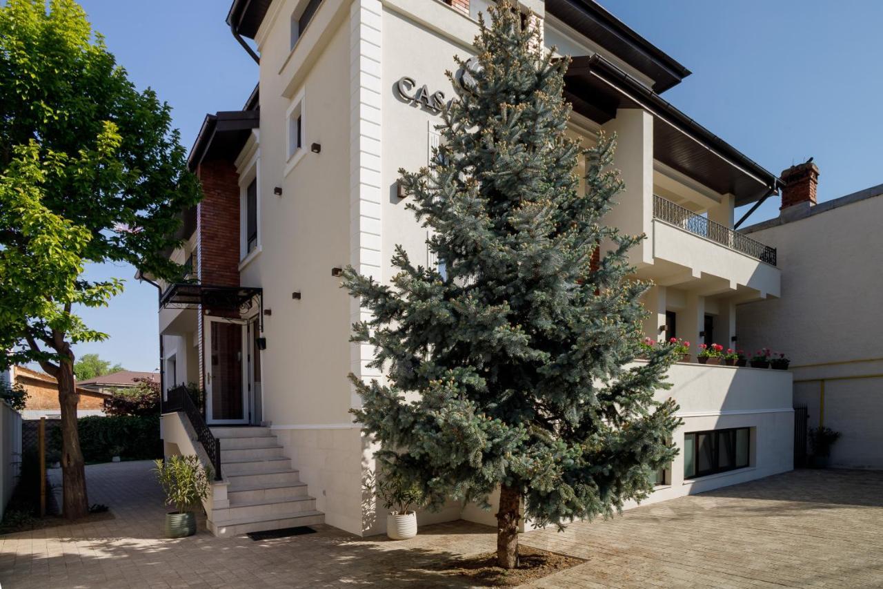 Pensiunea Casa Sturza Бакэу Экстерьер фото